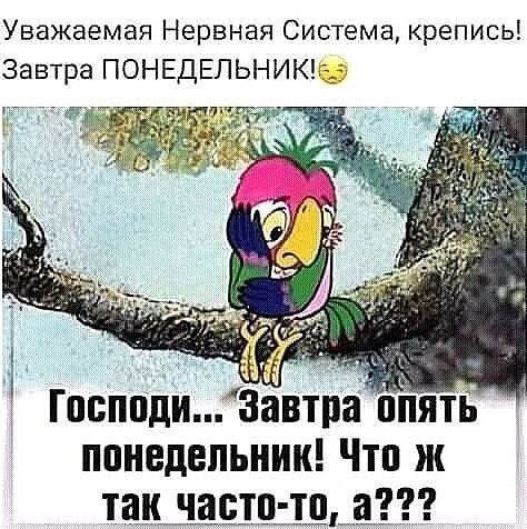 Уважаемая Нервная Система, крепись! Завтра ПОНЕДЕЛЬНИК!
Господи... Завтра опять понедельник! Что ж так часто-то, а???