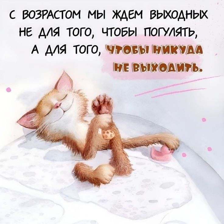 С возрастом мы ждем выходных не для того, чтобы погулять, а для того, чтобы никуда не выходить.
