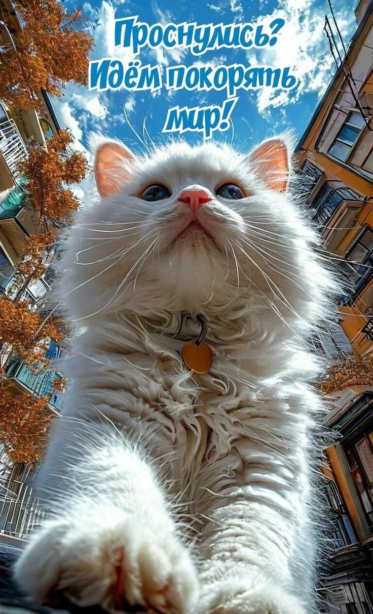 Проснулись? Идём покорять мир!