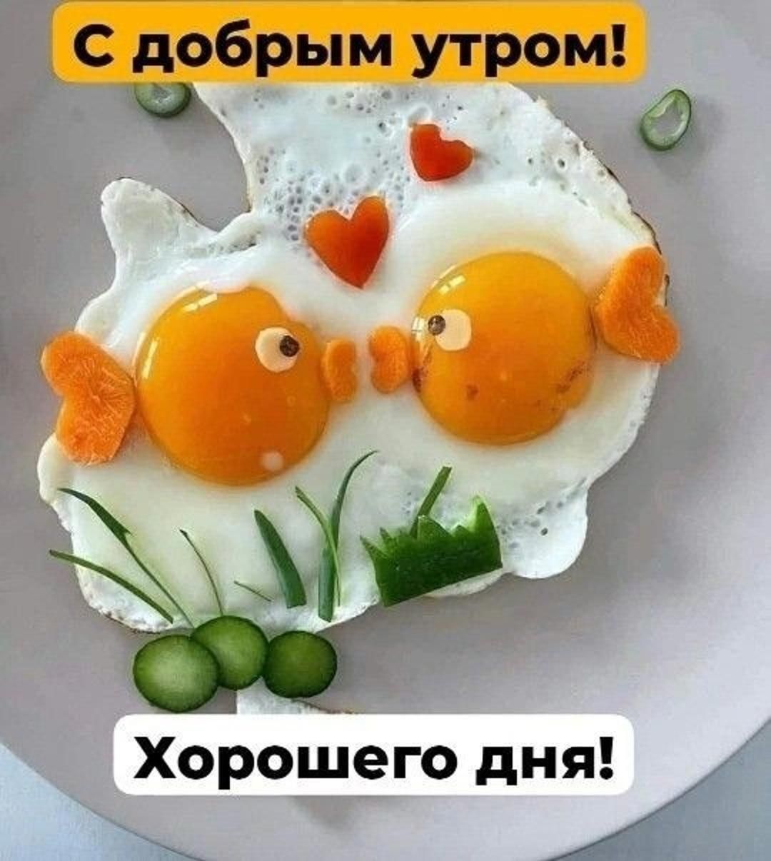 С добрым утром! Хорошего дня!