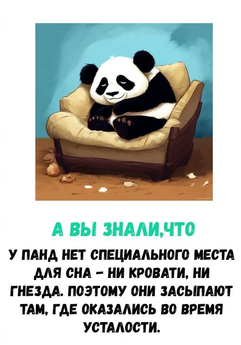 А ВЫ ЗНАЛИ, ЧТО У ПАНД НЕТ СПЕЦИАЛЬНОГО МЕСТА ДЛЯ СНА – НИ КРОВАТИ, НИ ГНЕЗДА. ПОЭТОМУ ОНИ ЗАСЫПАЮТ ТАМ, ГДЕ ОКАЗАЛИСЬ ВО ВРЕМЯ УСТАЛОСТИ.