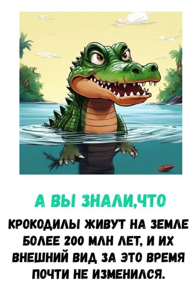 А ВЫ ЗНАЛИ, ЧТО КРОКОДИЛЫ ЖИВУТ НА ЗЕМЛЕ БОЛЕЕ 200 МЛН ЛЕТ, И ИХ ВНЕШНИЙ ВИД ЗА ЭТО ВРЕМЯ ПОЧТИ НЕ ИЗМЕНИЛСЯ.