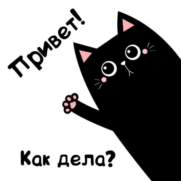 Привет! Как дела?