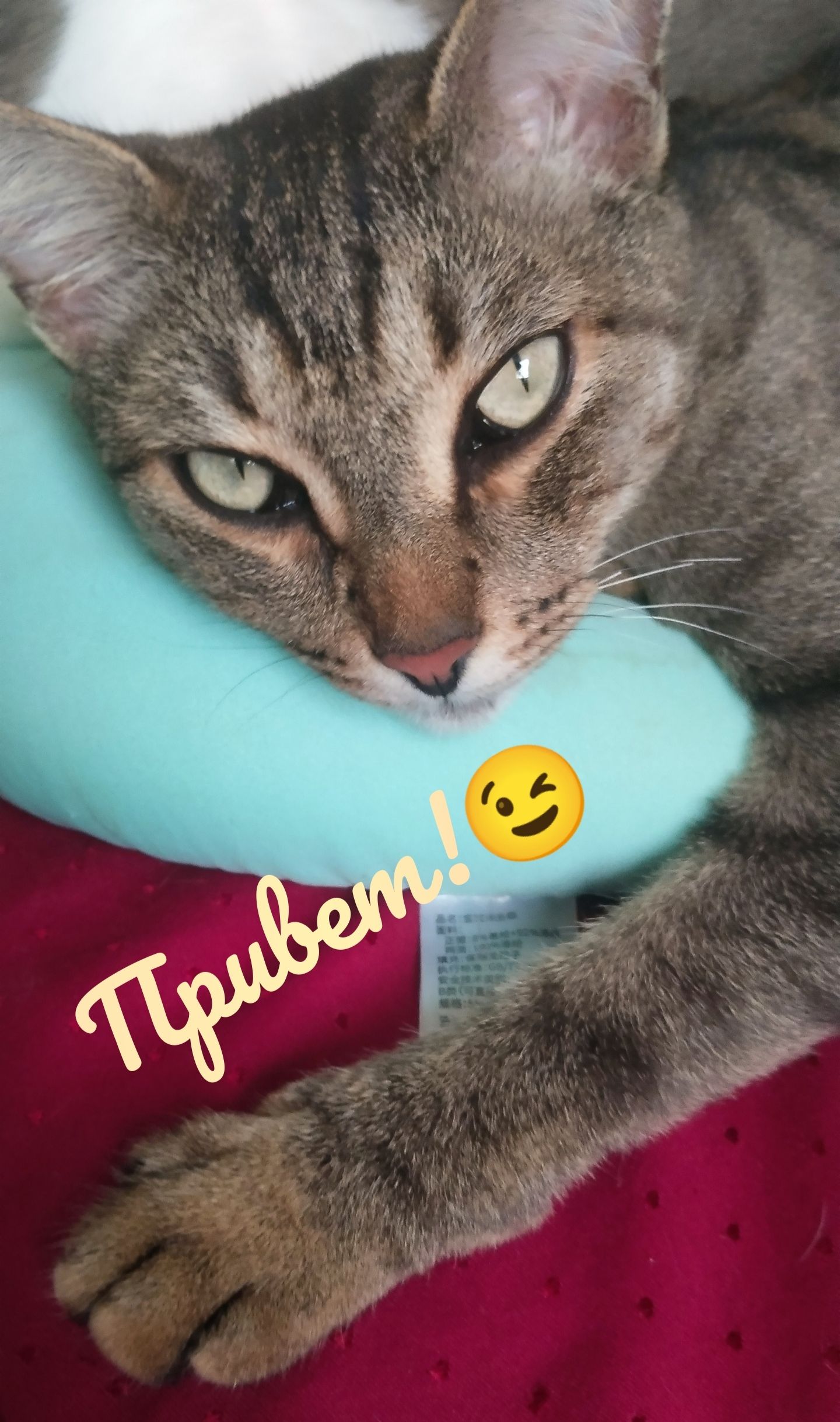 Привет!😉