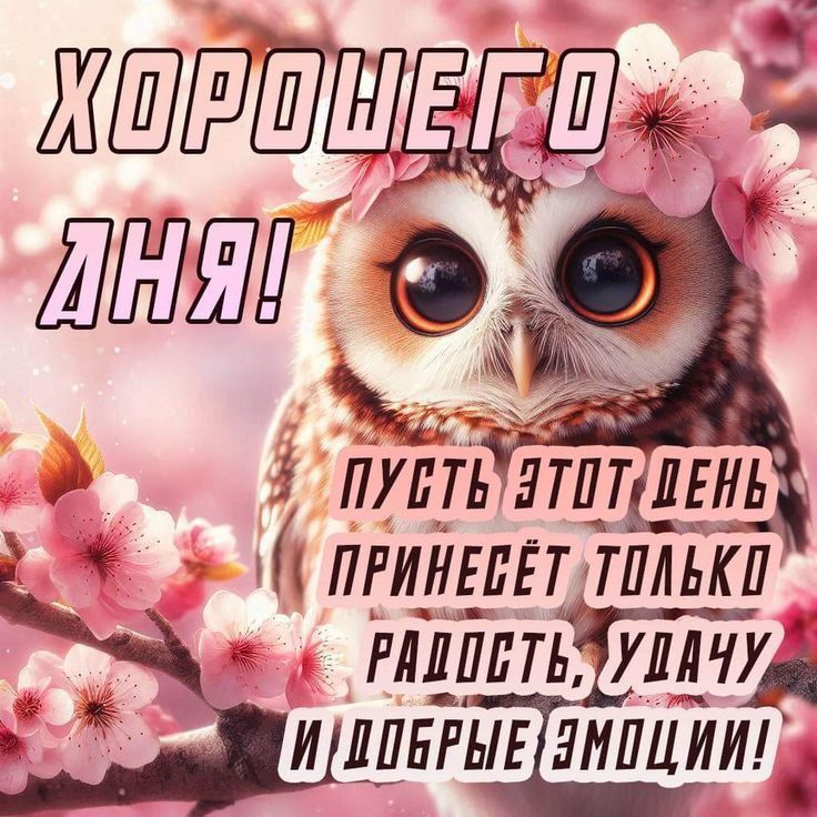 Хорошего дня! Пусть этот день принесёт только радость, удачу и добрые эмоции!