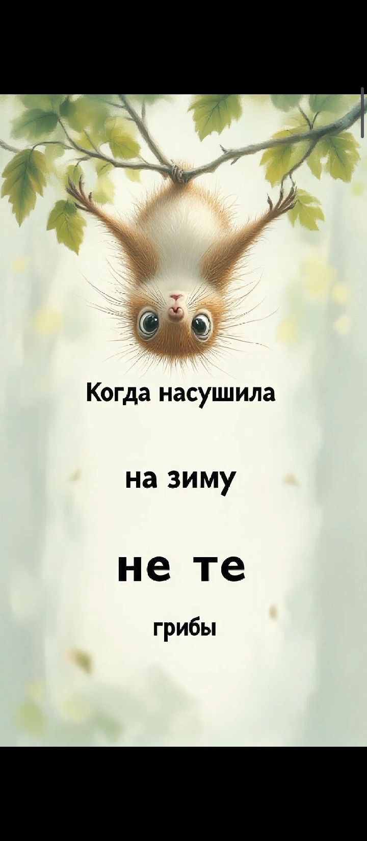 Когда насушила на зиму не те грибы