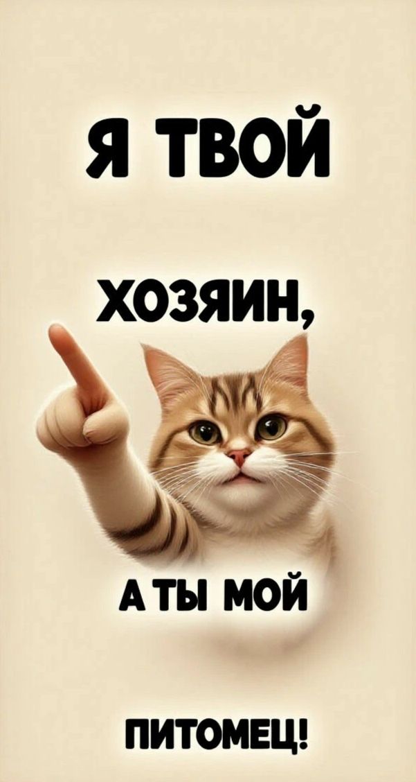 Я твой хозяин, а ты мой питомец!