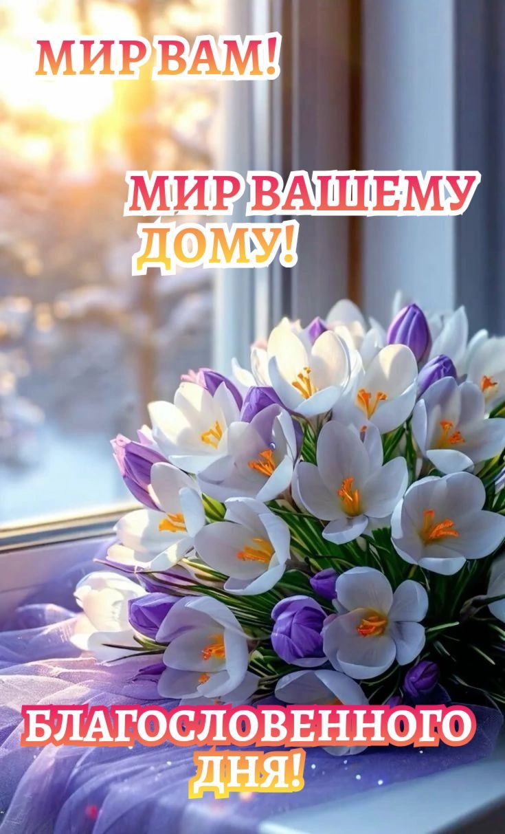 МИР ВАМ! МИР ВАШЕМУ ДОМУ! БЛАГОСЛОВЕННОГО ДНЯ!