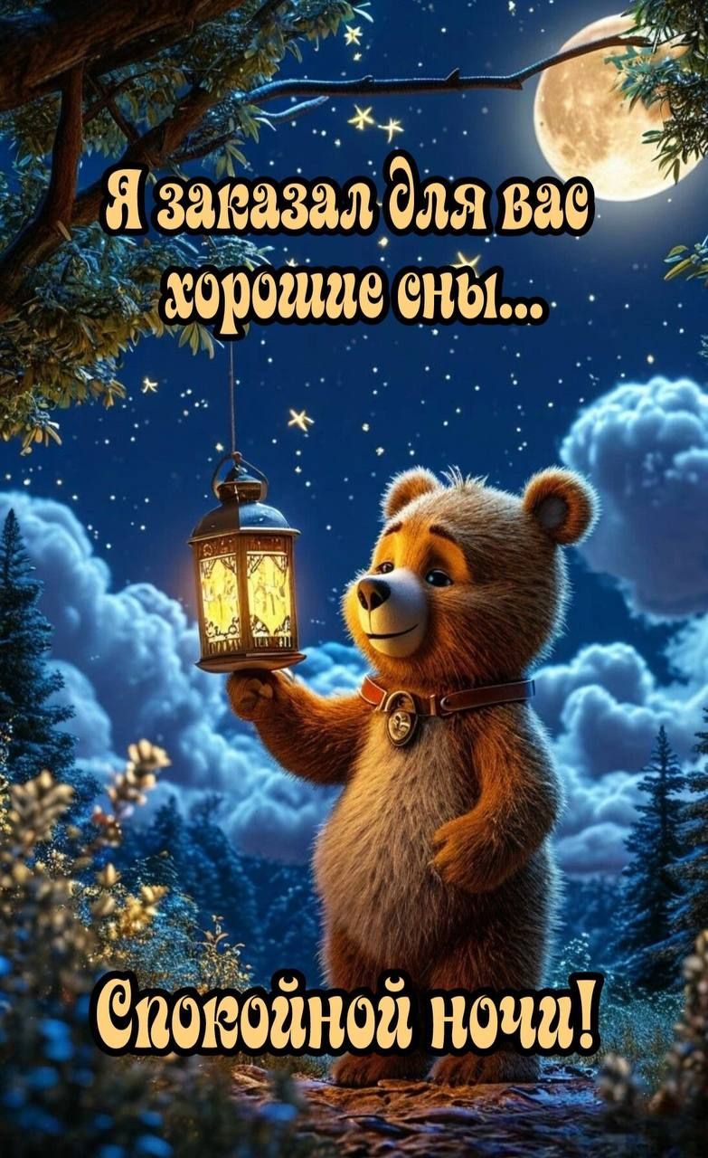 Я заказал для вас хорошие сны... Спокойной ночи!