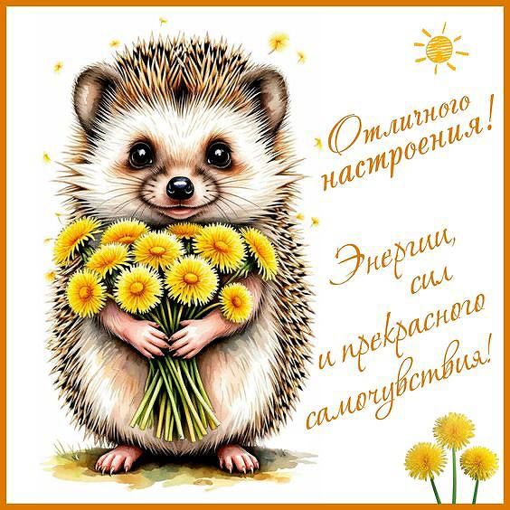 Отличного настроения! Энергии, сил и прекрасного самочувствия!
