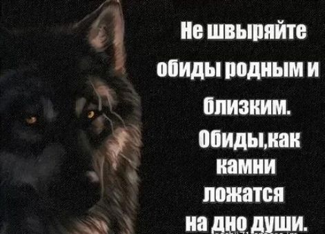 Не швыряйте обиды родным и близким. Обиды, как камни ложатся на дно души.