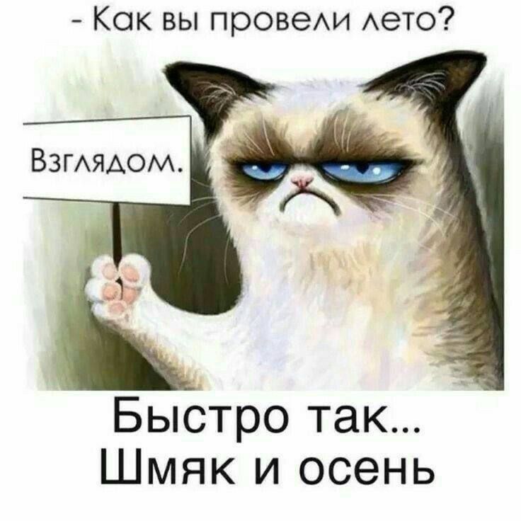 - Как вы провели лето?
Взглядом.
Быстро так... Шмяк и осень