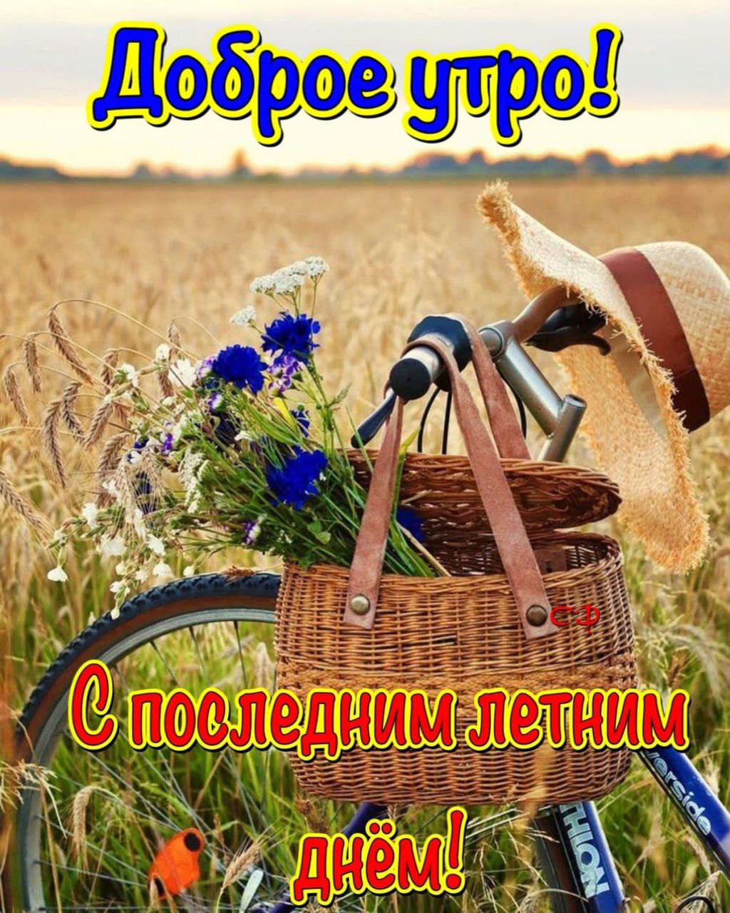Доброе утро! С последним летним днём!