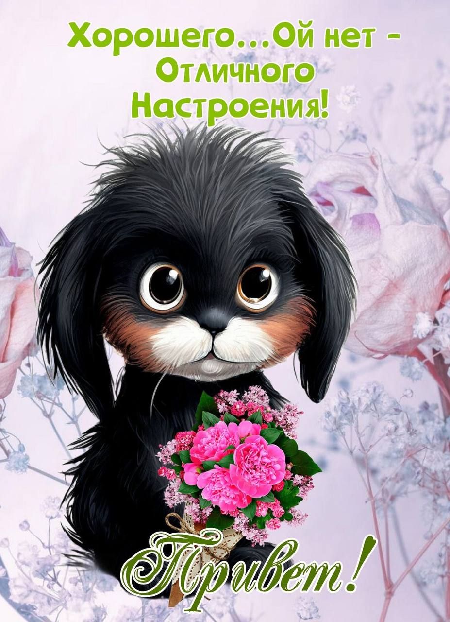 Хорошего... Ой нет - Отличного Настроения! Привет!