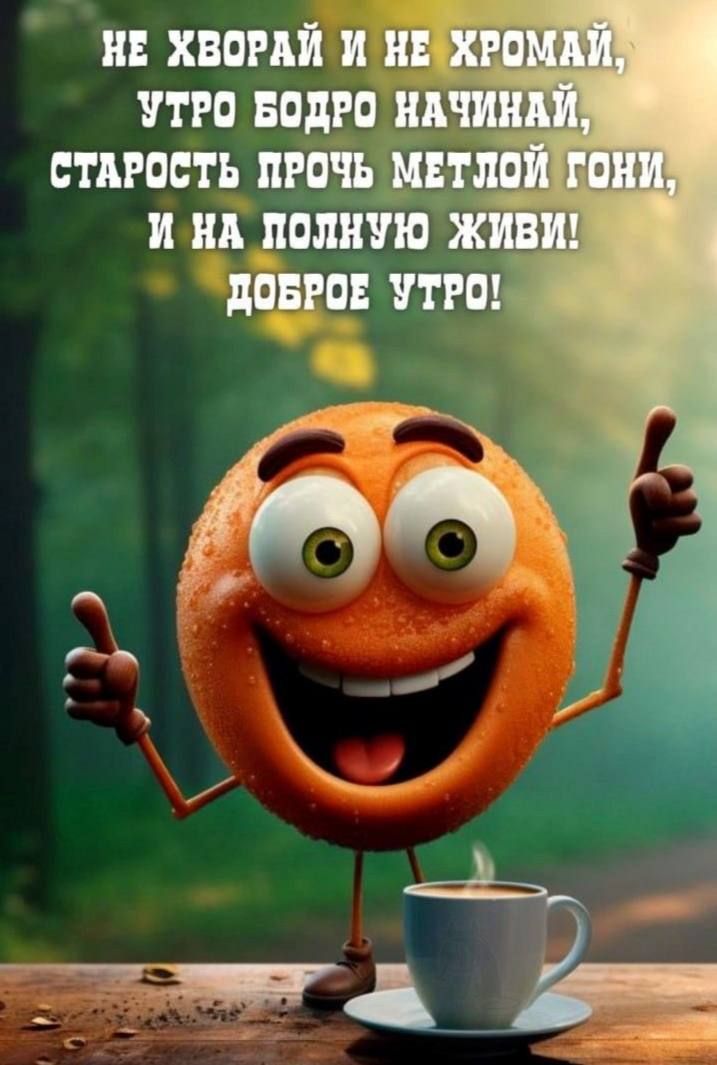 НЕ ХВОРАЙ И НЕ ХРОМАЙ,
УТРО БОДРО НАЧИНИ,
СТАРОСТЬ ПРОЧЬ МЕТЛОЙ ГОНИ,
И НА ПОЛНУЮ ЖИВИ!
ДОБРОЕ УТРО!