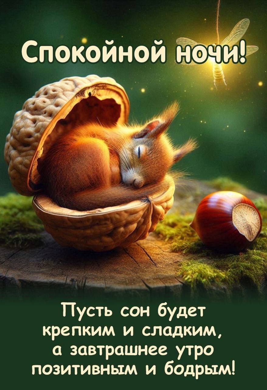 Спокойной ночи!
Пусть сон будет крепким и сладким, а завтрашнее утро позитивным и бодрым!