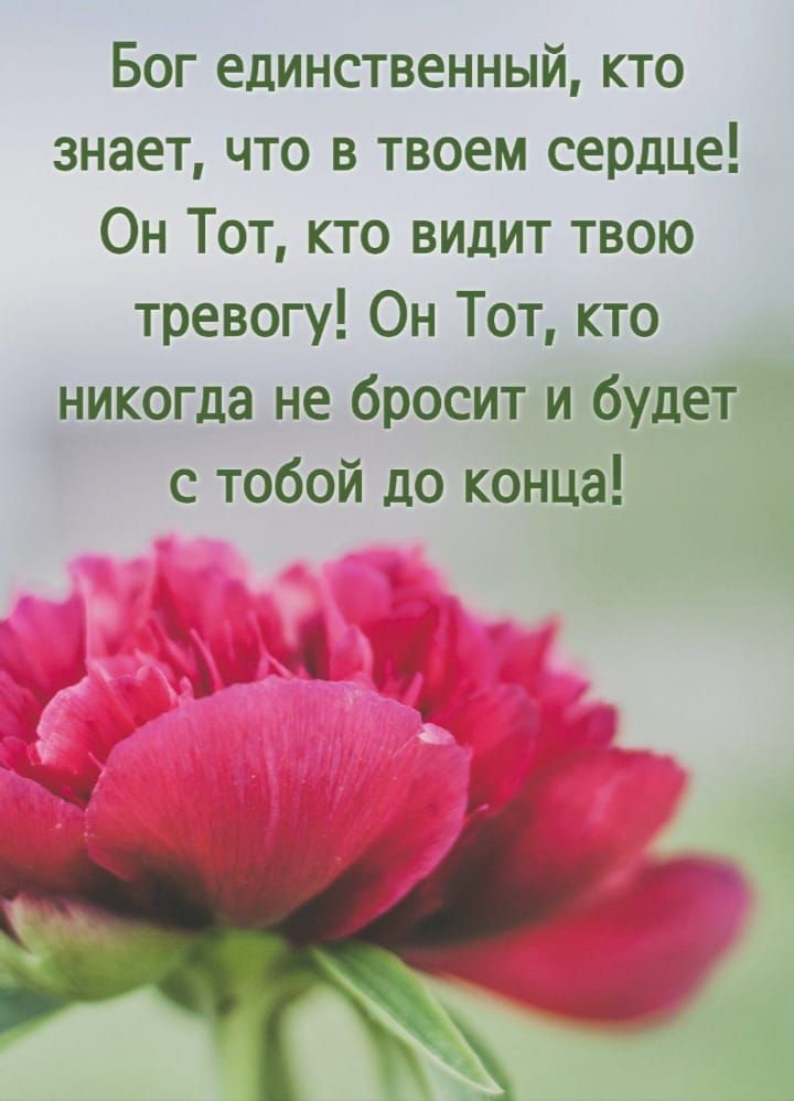 Бог единственный, кто знает, что в твоем сердце! Он Тот, кто видит твою тревогу! Он Тот, кто никогда не бросит и будет с тобой до конца!