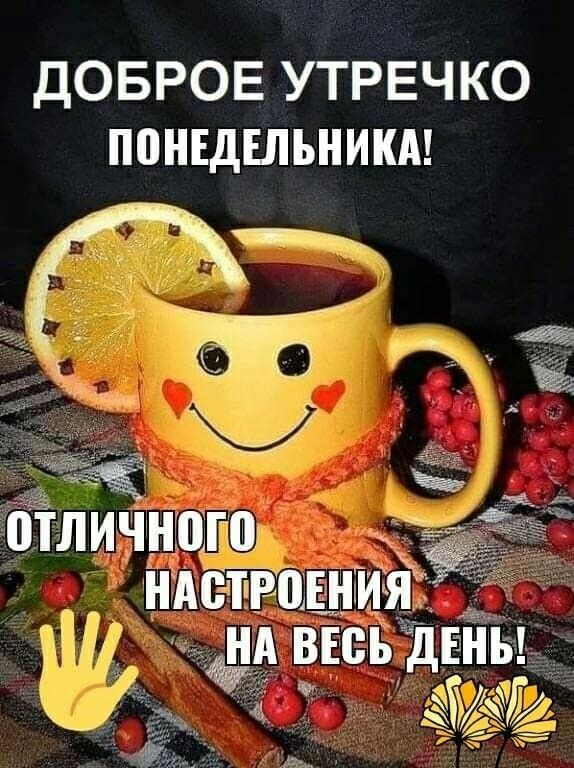 ДОБРОЕ УТРЕЧКО ПОНЕДЕЛЬНИКА! ОТЛИЧНОГО НАСТРОЕНИЯ НА ВЕСЬ ДЕНЬ!