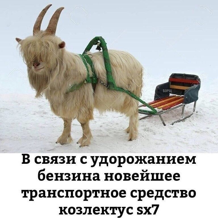 В связи с удорожанием бензина новойшее транспортное средство козлектус sx7