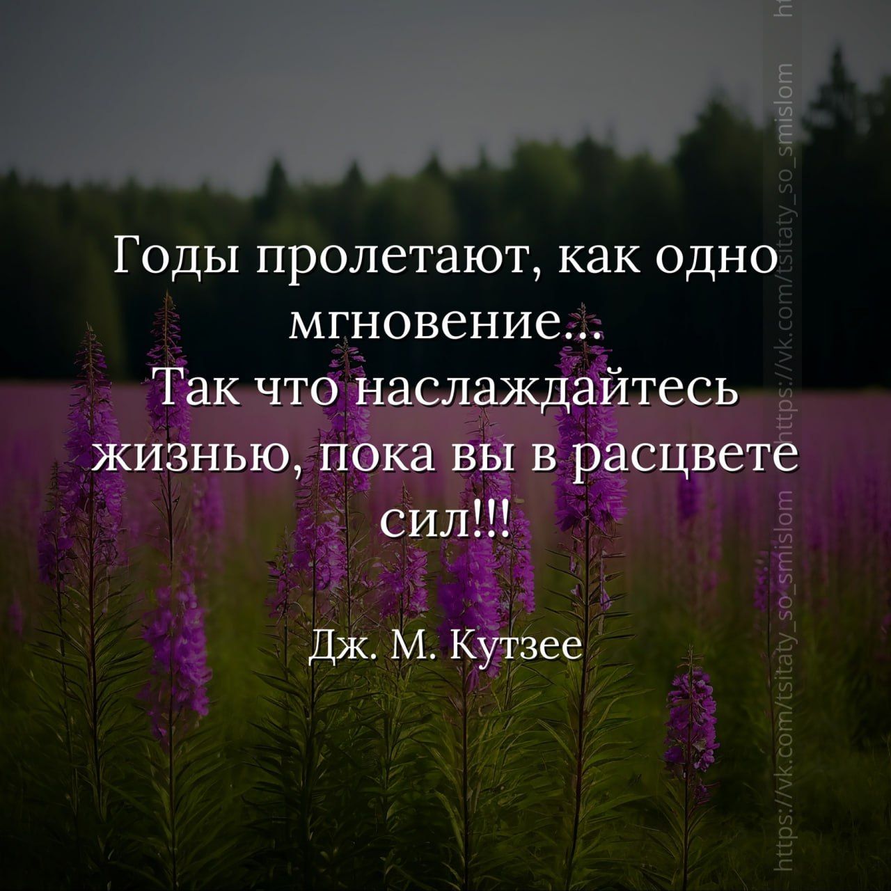 Годы пролетают, как одно мгновение... Так что наслаждайтесь жизнью, пока вы в расцвете сил!!! Дж. М. Кутзее