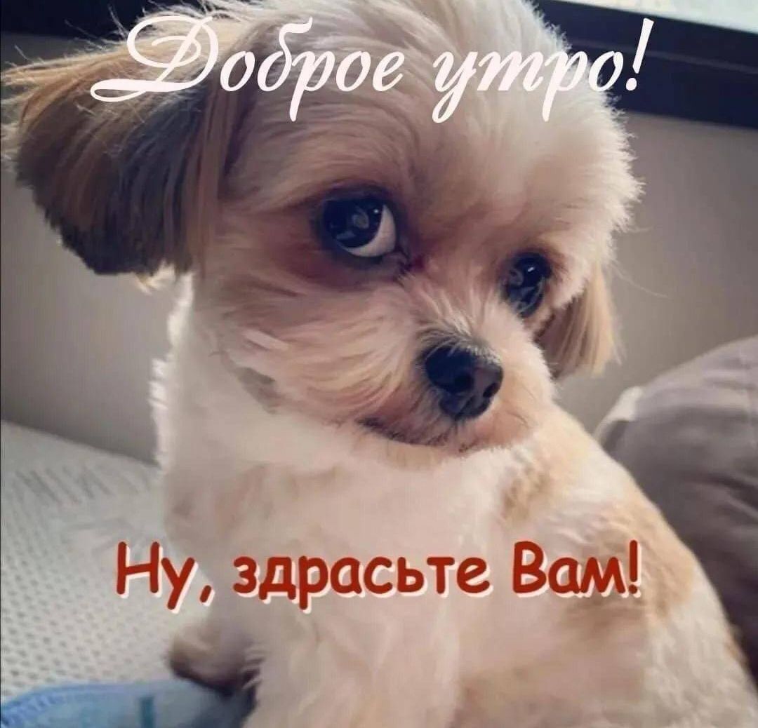 Доброе утро! Ну, здравствуйте Вам!