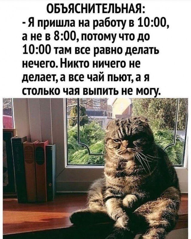Объяснительная: - Я пришла на работу в 10:00, а не в 8:00, потому что до 10:00 там все равно делать нечего. Никто ничего не делает, а все чай пьют, а я столько чая выпить не могу.
