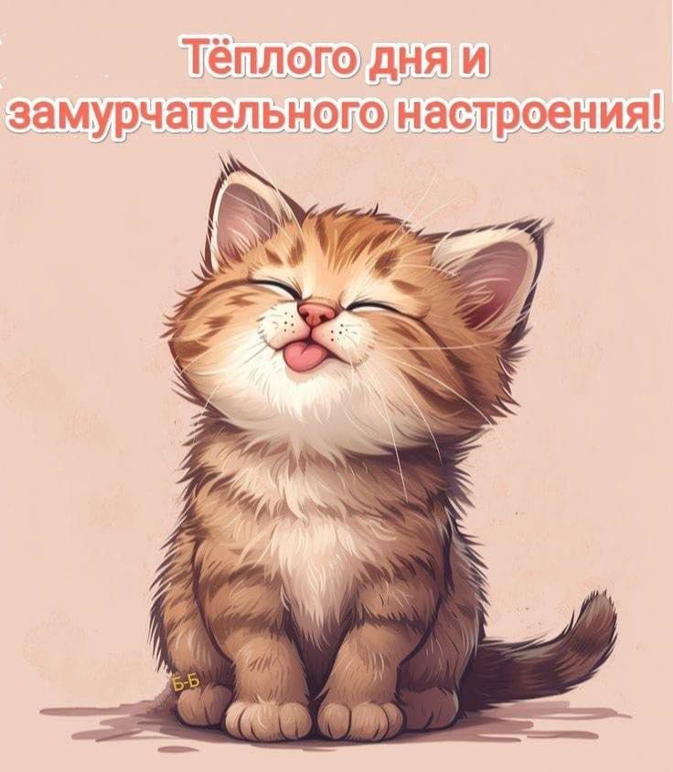 Тёплого дня и замурчательного настроения!