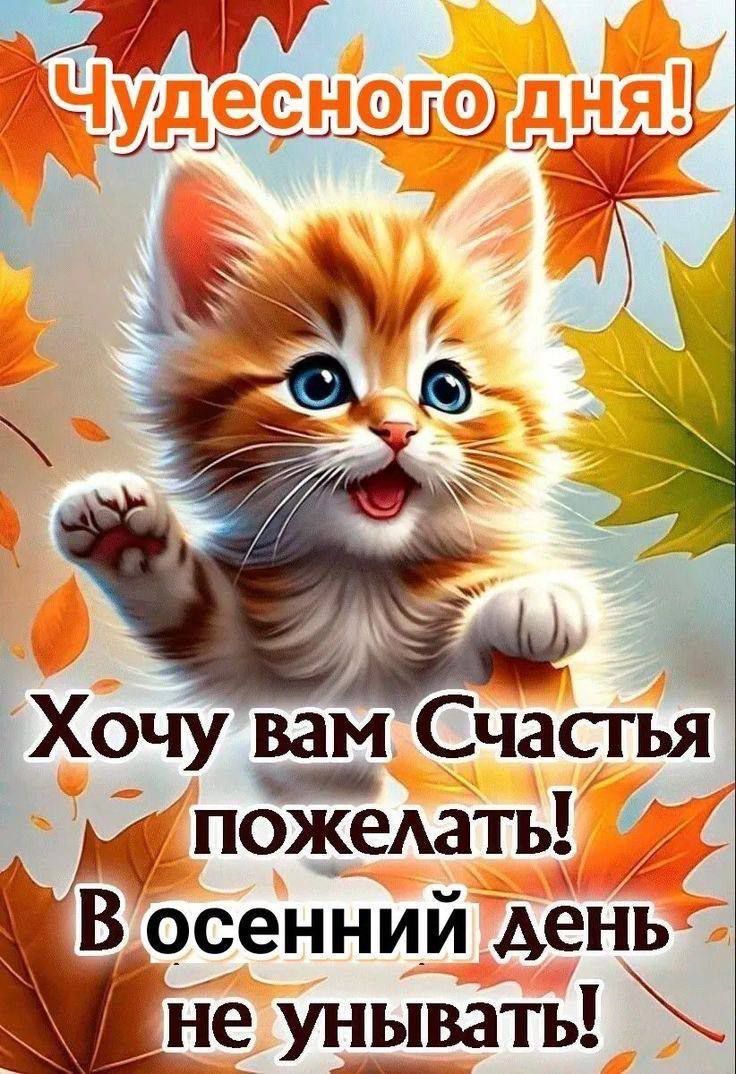 Чудесного дня! Хочу вам счастья пожелать! В осенний день не унывать!