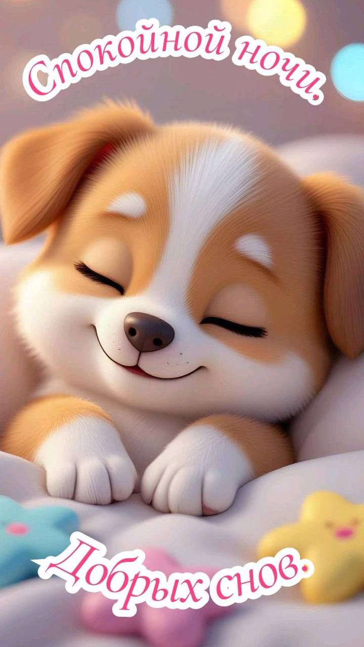 Спокойной ночи Добрых снов