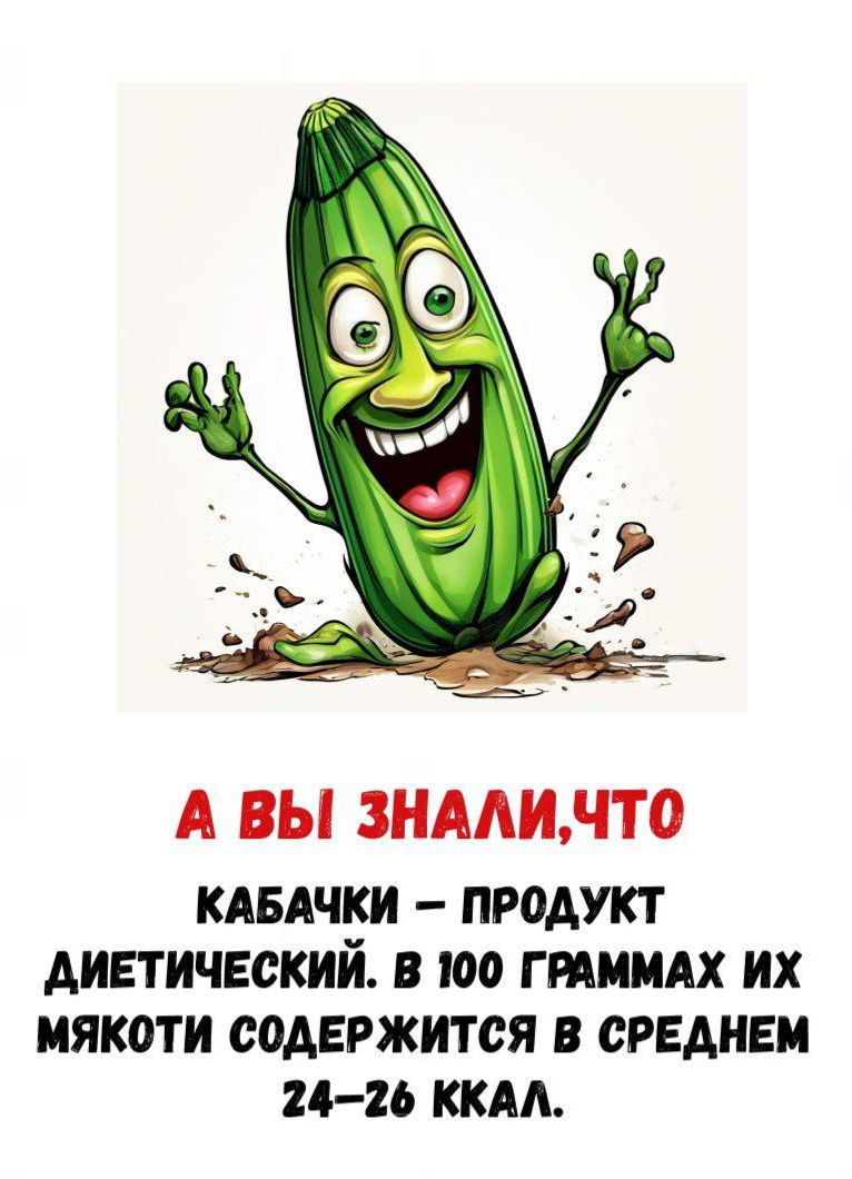 А ВЫ ЗНАЛИ,ЧТО КАБАЧКИ – ПРОДУКТ ДИЕТИЧЕСКИЙ. В 100 ГРАММХ ИХ МЯКОТИ СОДЕРЖИТСЯ В СРЕДНЕМ 24–26 KKAL.