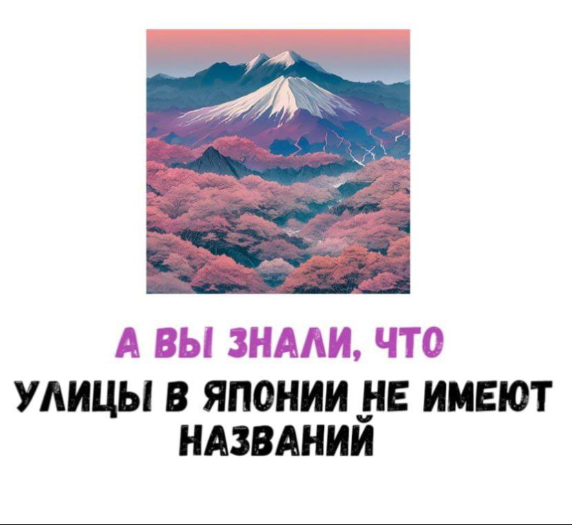 А вы знали, что улицы в Японии не имеют названий