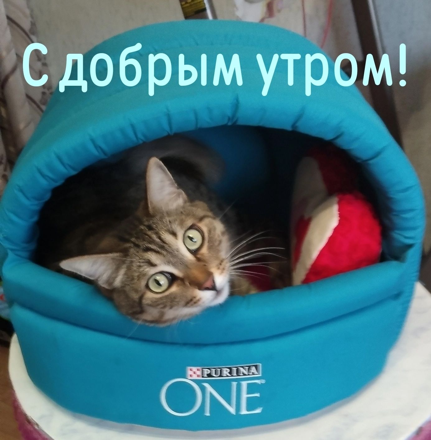 С добрым утром!