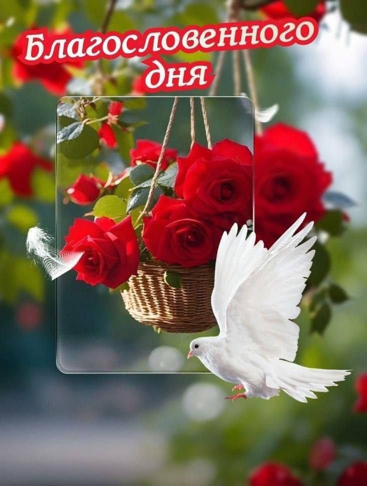 Благословенного дня