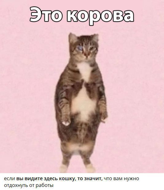 Это корова
если вы видите здесь кошку, то значит, что вам нужно отдохнуть от работы