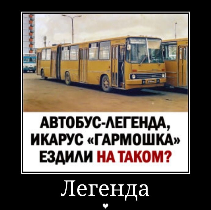 АВТОБУС-ЛЕГЕНДА, ИКАРУС «ГАРМОШКА» ЕЗДИЛИ НА ТАКОМ?