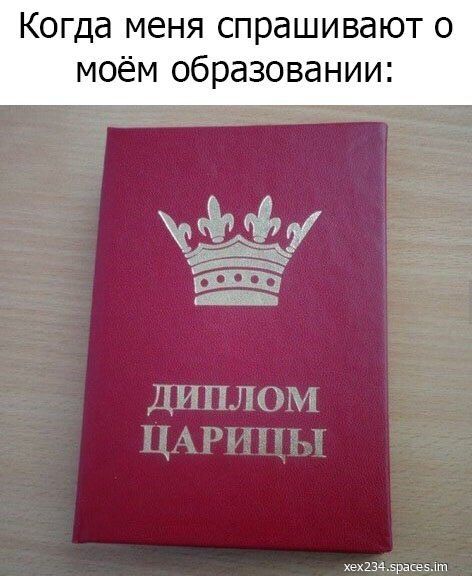 Когда меня спрашивают о моём образовании:\nДИПЛОМ ЦАРИЦЫ