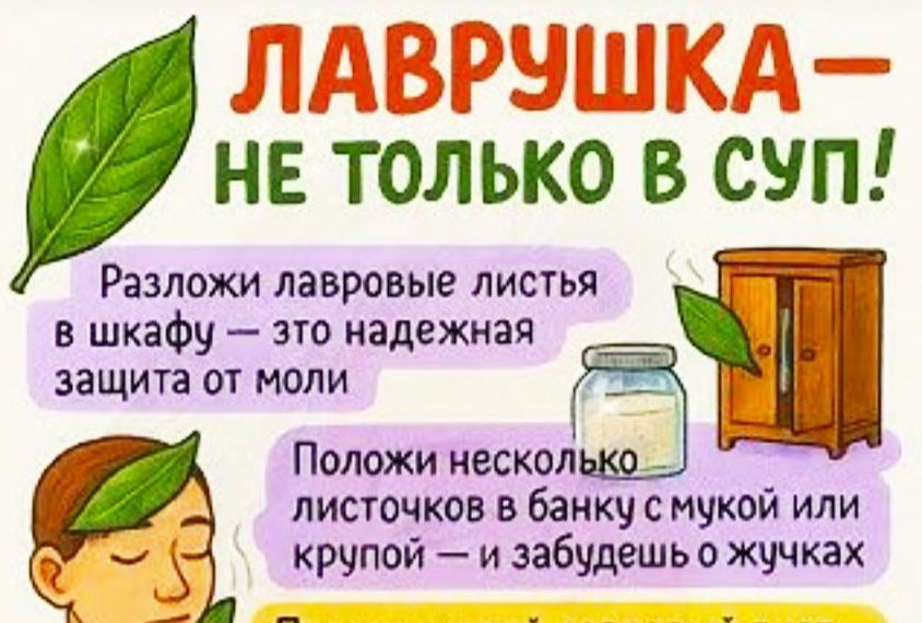 ЛАВРУШКА - НЕ ТОЛЬКО В СУП! Разложи лавровые листья в шкафу — это надежная защита от молИ. Положи несколько листочков в банку с мукой или крупой — и забудешь о жучках