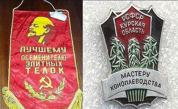 ЛУЧШЕМУ ОСЕМЕНИТЕЛЮ ЭЛИТНЫХ ТЕЛОК; РСФСР КУРСКАЯ ОБЛАСТЬ; МАСТЕР КОНОПЛЕВОДСТВА