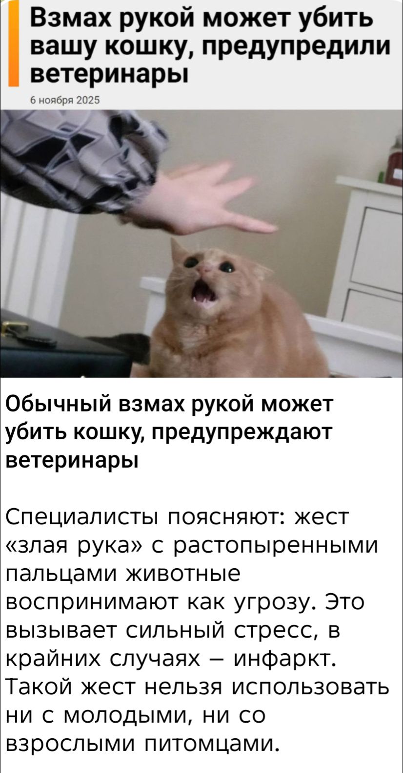 Взмах рукой может убить вашу кошку, предупредили ветеринары. Обычный взмах рукой может убить кошку, предупреждают ветеринары. Специалисты поясняют: жест «злая рука» с растопыренными пальцами животные воспринимают как угрозу. Это вызывает сильный стресс, в крайних случаях – инфаркт.