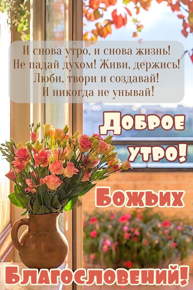 И снова утро, и снова жизнь! Не падай духом! Живи, держись! Люби, твори и создавай! И никогда не унывай! Доброе утро! Божьих Благословений!