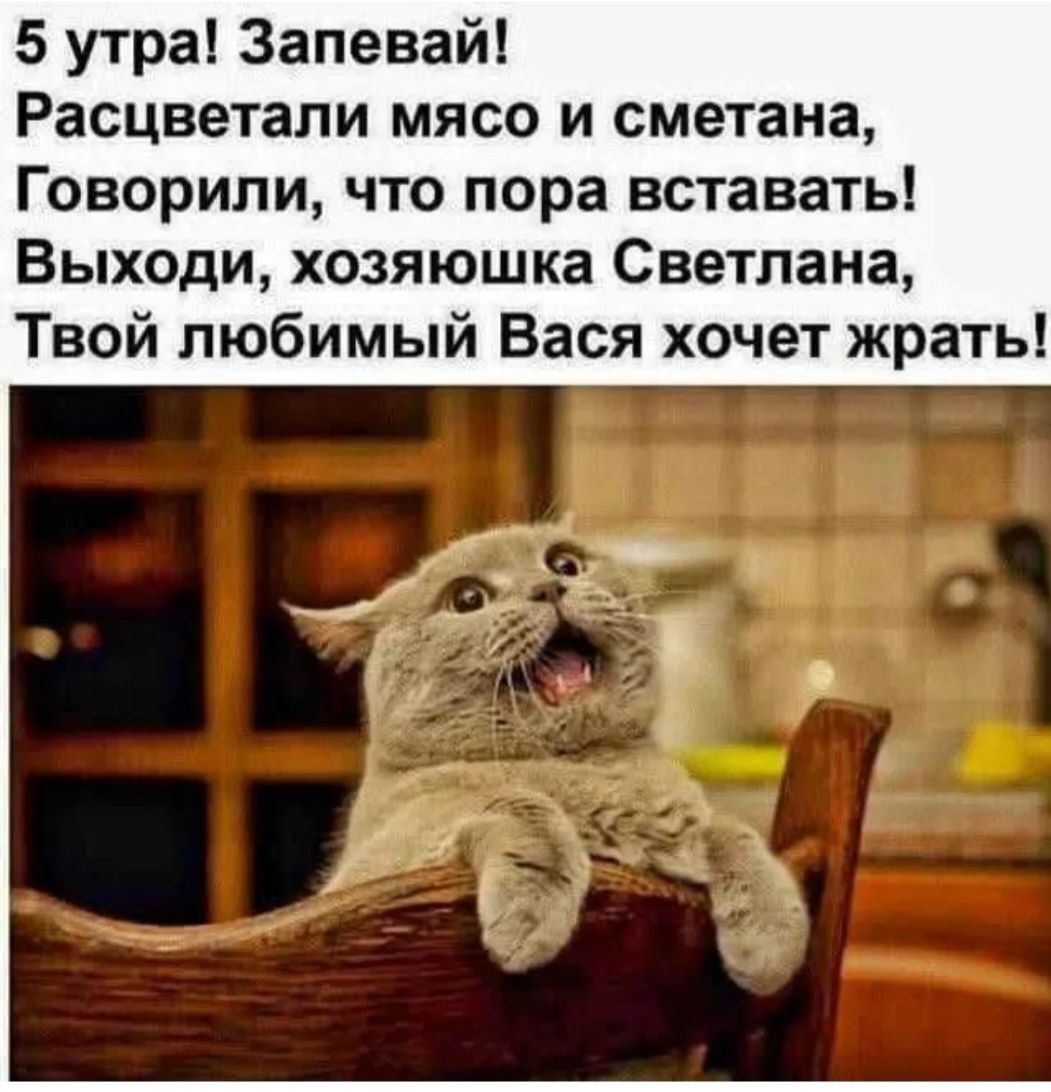5 утра! Запевай! Расчевтили мясо и сметана, Говорили, что пора вставать! Выходи, хозяйюшка Светлана, Твой любимый Вася хочет жрать!