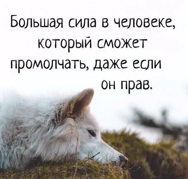Большая сила в человеке, который сможет промолчать, даже если он прав.