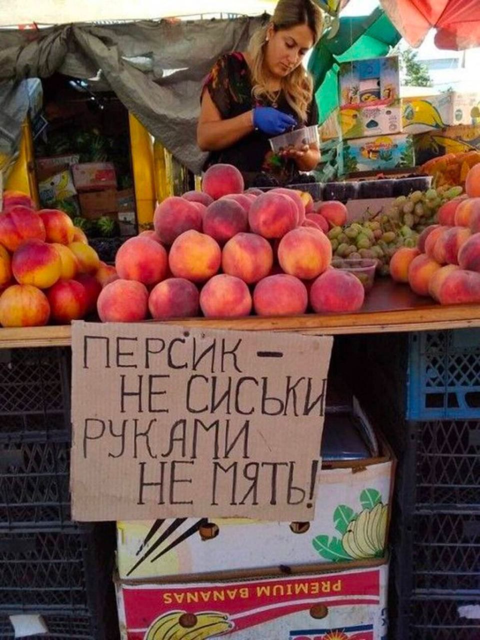 ПЕРСИК - НЕ СИСЬКИ РУКАМИ НЕ МЯТЬ!