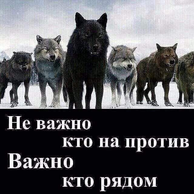 Не важно
Кто на против
Важно
кто рядом