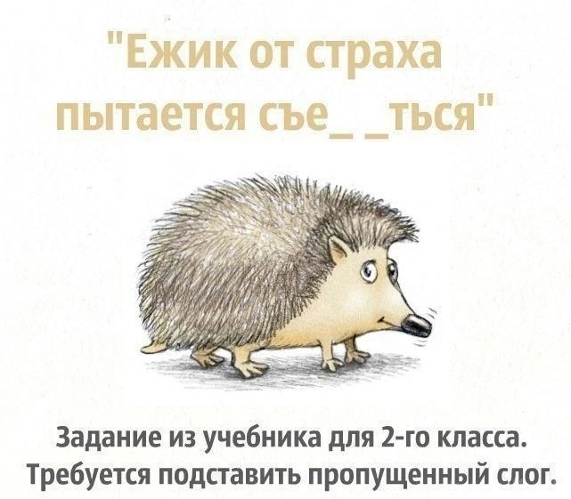 „Ёжик от страха пытается сe__ться”