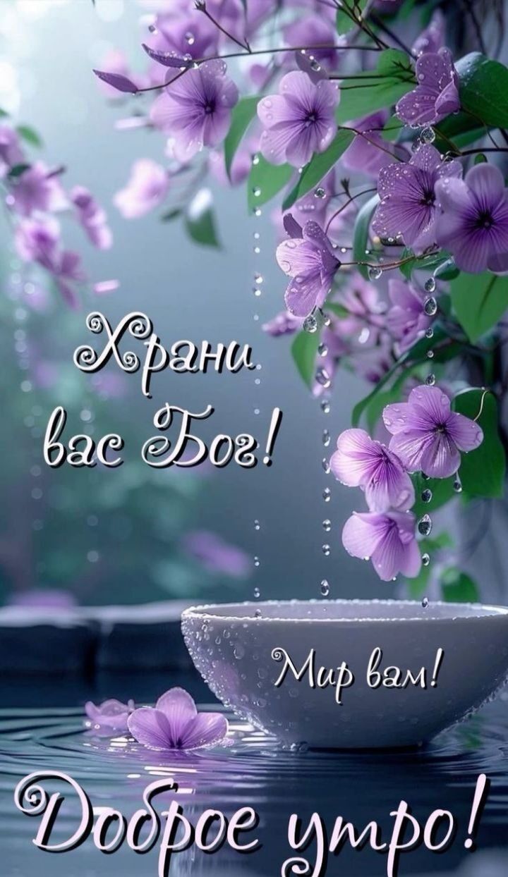 Храни вас Бог! Мир вам! Доброе утро!