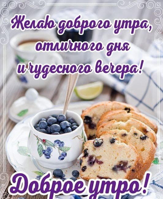 Желаю доброго утра, отличного дня и чудесного вечера! Доброе утро!