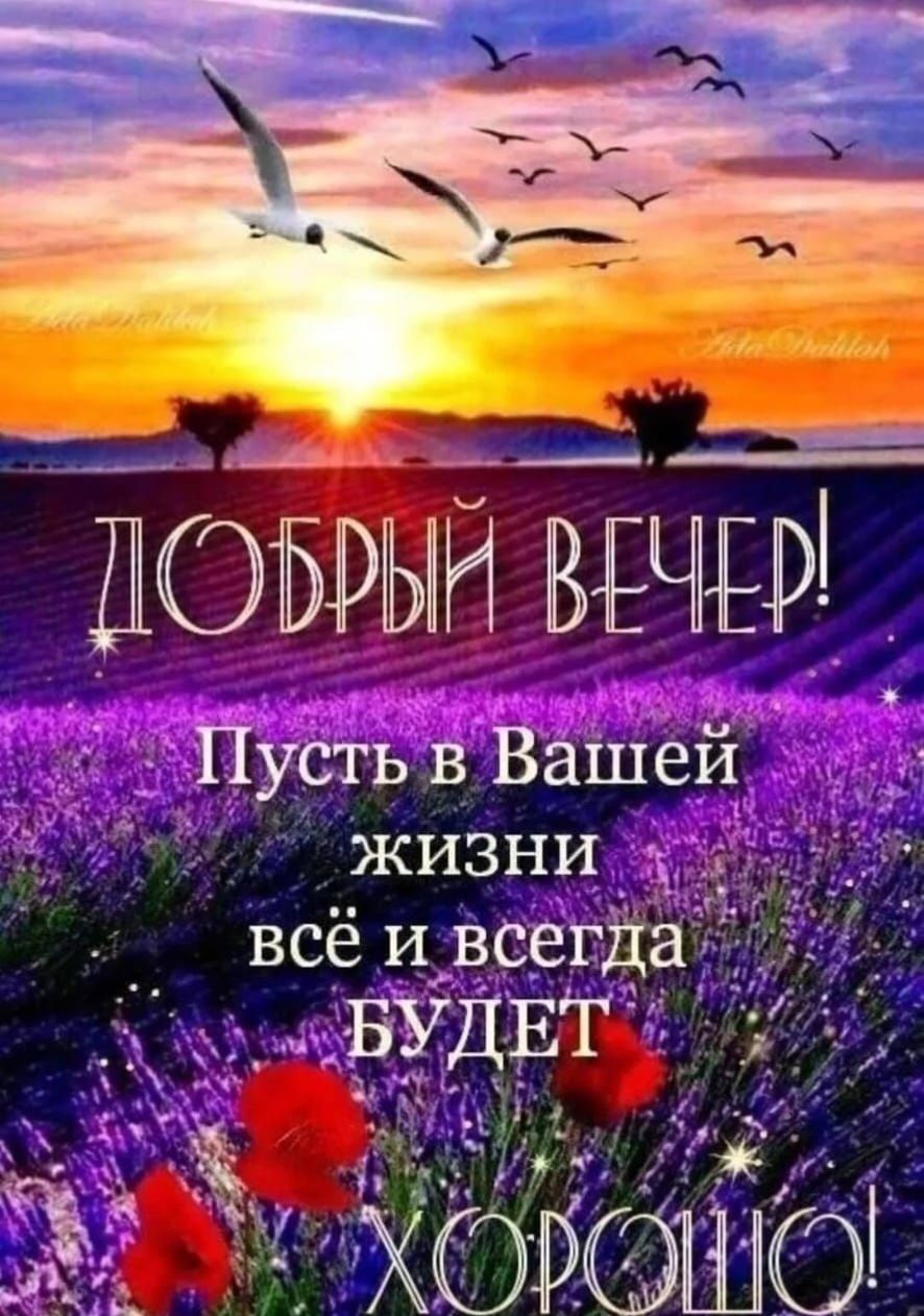 Добрый вечер! Пусть в Вашей жизни всё и всегда будет хорошо!