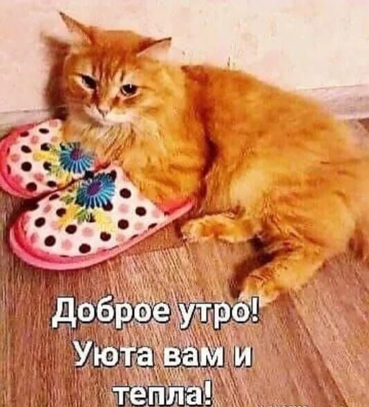 Доброе утро! Уюта вам и тепла!
