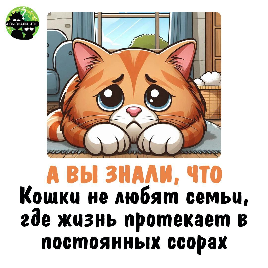А вы знали, что кошки не любят семьи, где жизнь протекает в постоянных ссорах